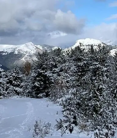 La Joue Du Loup Bord Des Pistes - Chalet En Bois De Charme Pour 10 Personnes *