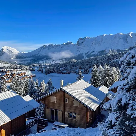 La Joue Du Loup Bord Des Pistes - Chalet En Bois De Charme Pour 10 Personnes *